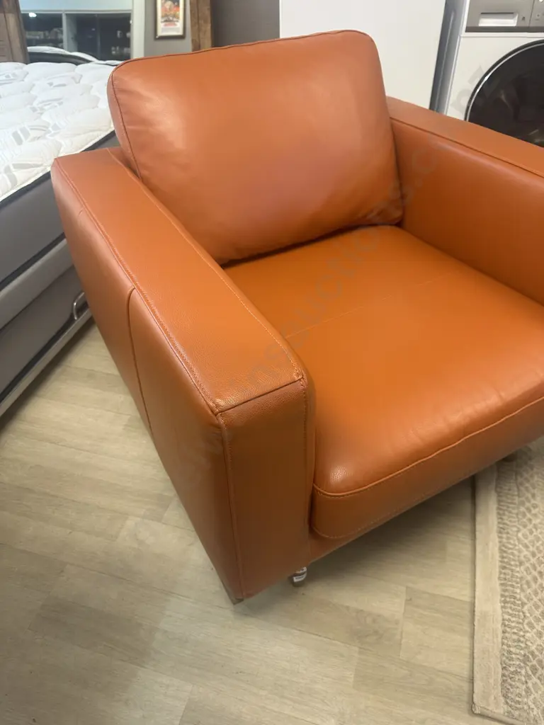 Nick Scali Musa Armchair In Performance Leather, Mid-century Scandinavian Design (6 Months Old) Image 1++