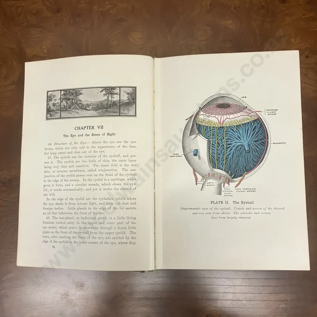 The Practical Guide to Health by Frederick M. Rossiter, 1930s Edition, Signs Publishing Co. Australia Image 1++