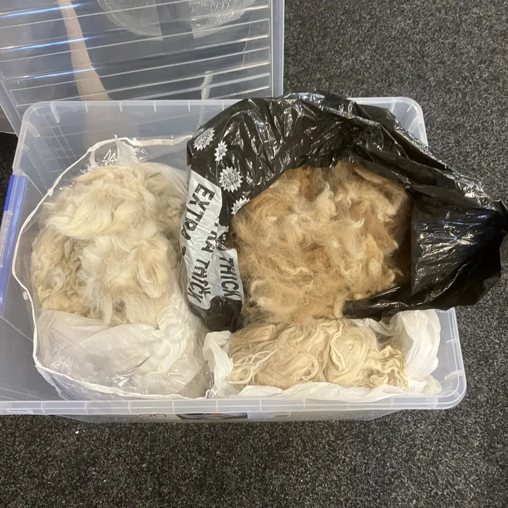 Box Lot Assorted Spinning Fleece / Fibre Image 1++
