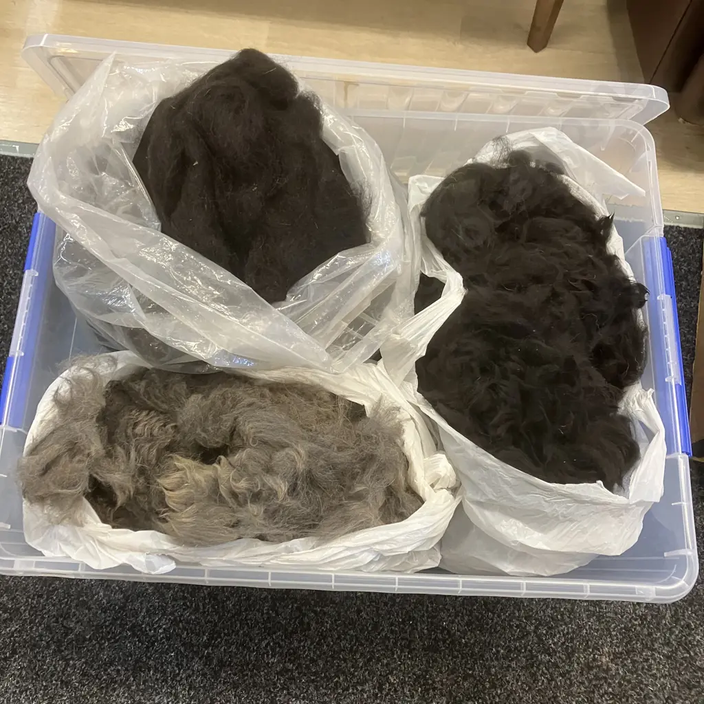 Box Lot Assorted Spinning Fleece / Fibre Image 1++