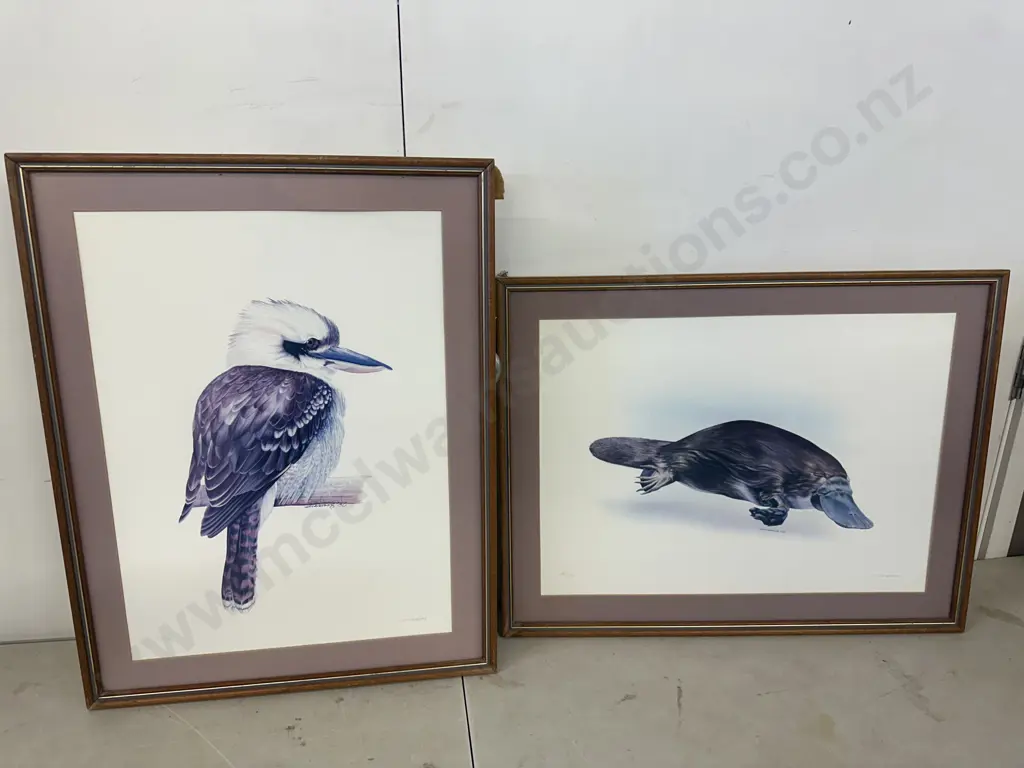 Pair Of Vintage Framed Limited Edition Prints Signed Zuarve'86 Kookaburra 293/700 H58x45cm, Platypus 295/750 H45x58cm. Image 1++