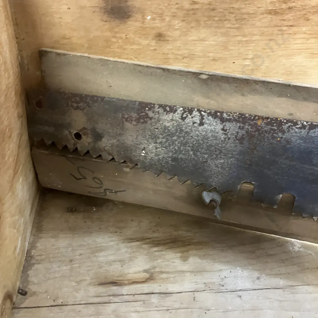 Antique 54" Crosscut Saw Image 1++