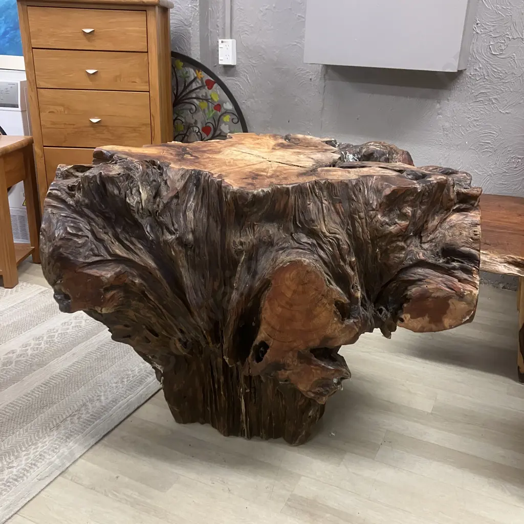 Large Very Heavy Swamp Kauri Stump (Washed In At Turakina Beach). H77 W107 D69cm Image 1++