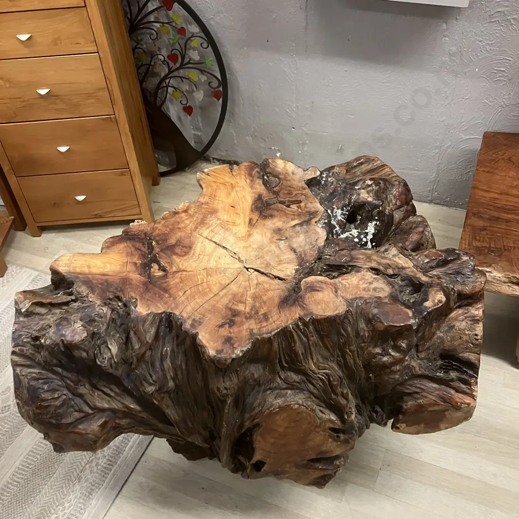Large Very Heavy Swamp Kauri Stump (Washed In At Turakina Beach). H77 W107 D69cm Image 1++