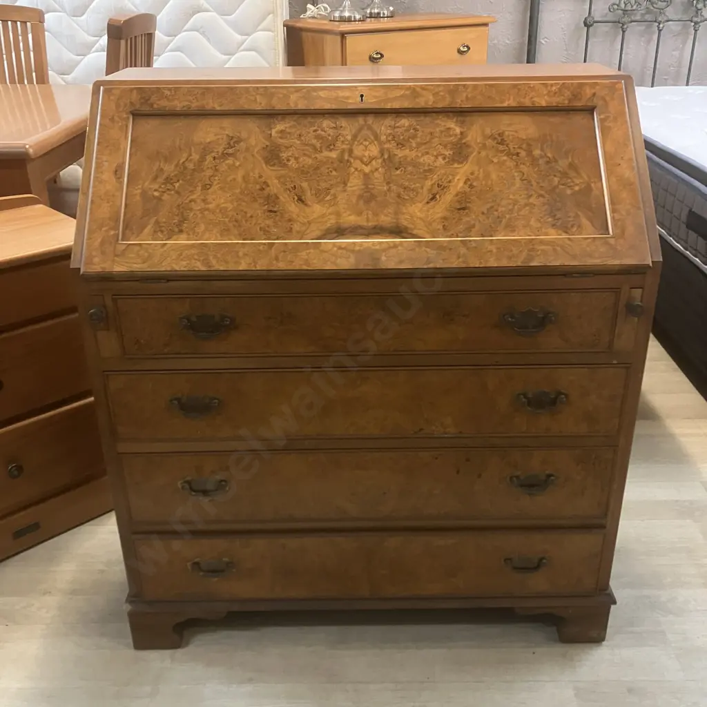 Georgian Style Burr Walnut Bureau Image 1++