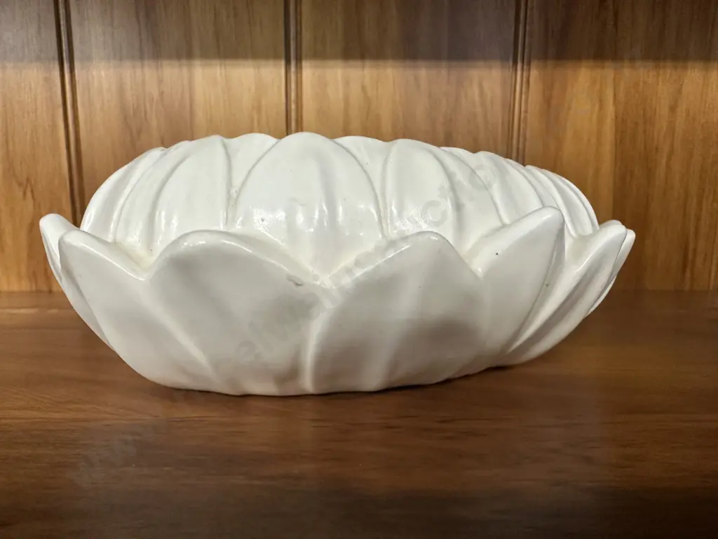 Art Deco Spode Velamour Lily Leaf Cream Vare Bowl H6,L18,D14cm. Image 1++