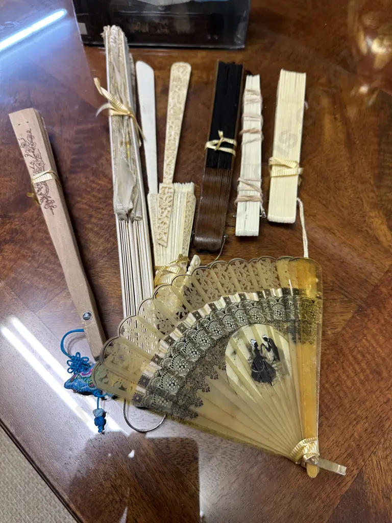 Selection of Vintage Fans With Book by Nancy Armstrong Image 1++