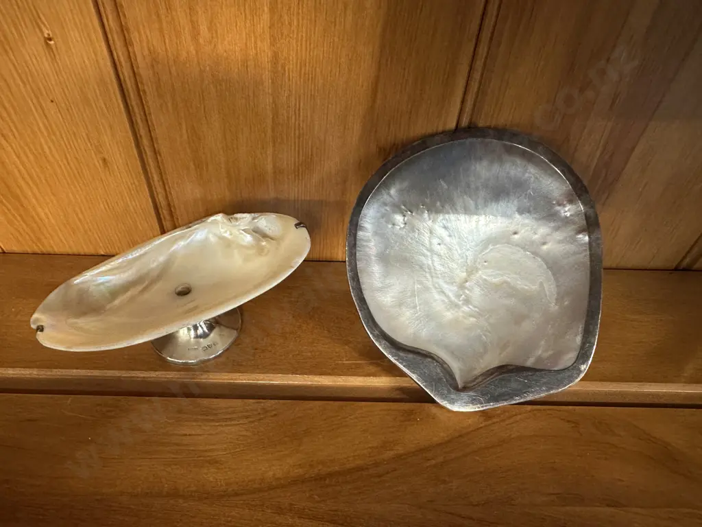 Pair of Antique Shell Dishes With Sterling Silver Image 1++