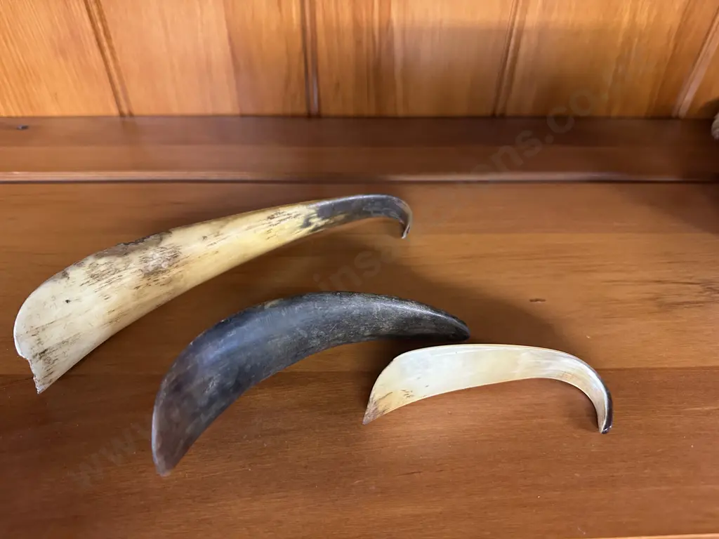 Vintage Shoe Horns x 3 Image 1++