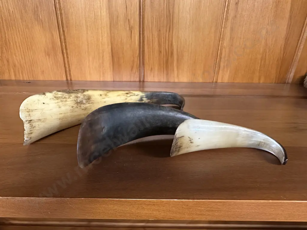 Vintage Shoe Horns x 3 Image 1++