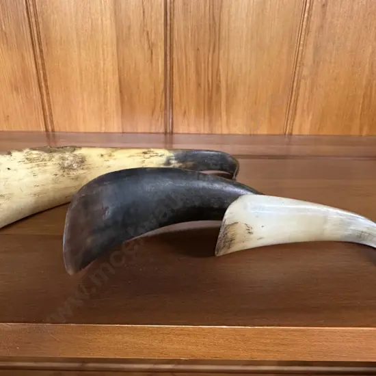 Vintage Shoe Horns x 3