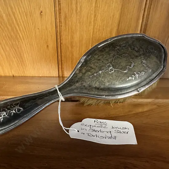 Rare Exquisite Brush In Sterling Silver & Tortoiseshell