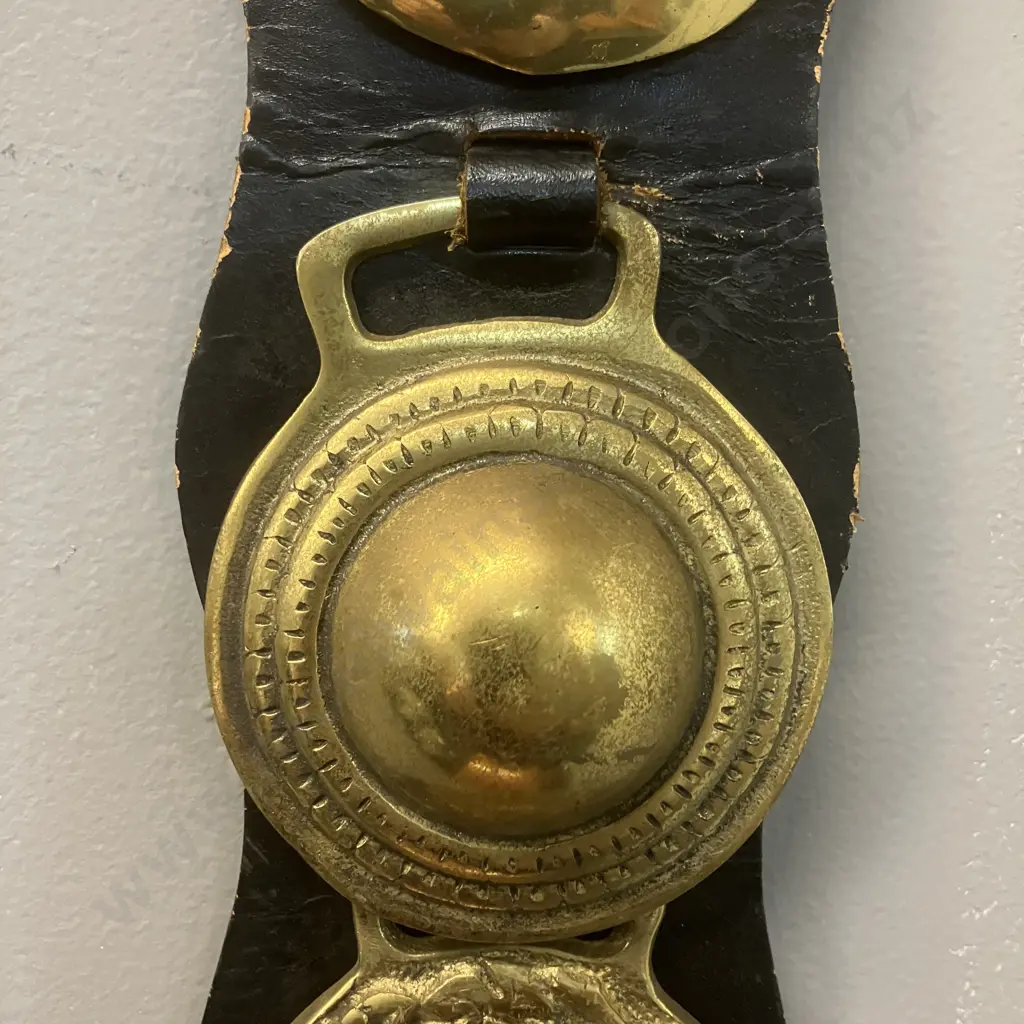 Vintage Six Horse Brasses Mounted On a Brown Leather Strap. L85cm Image 1++