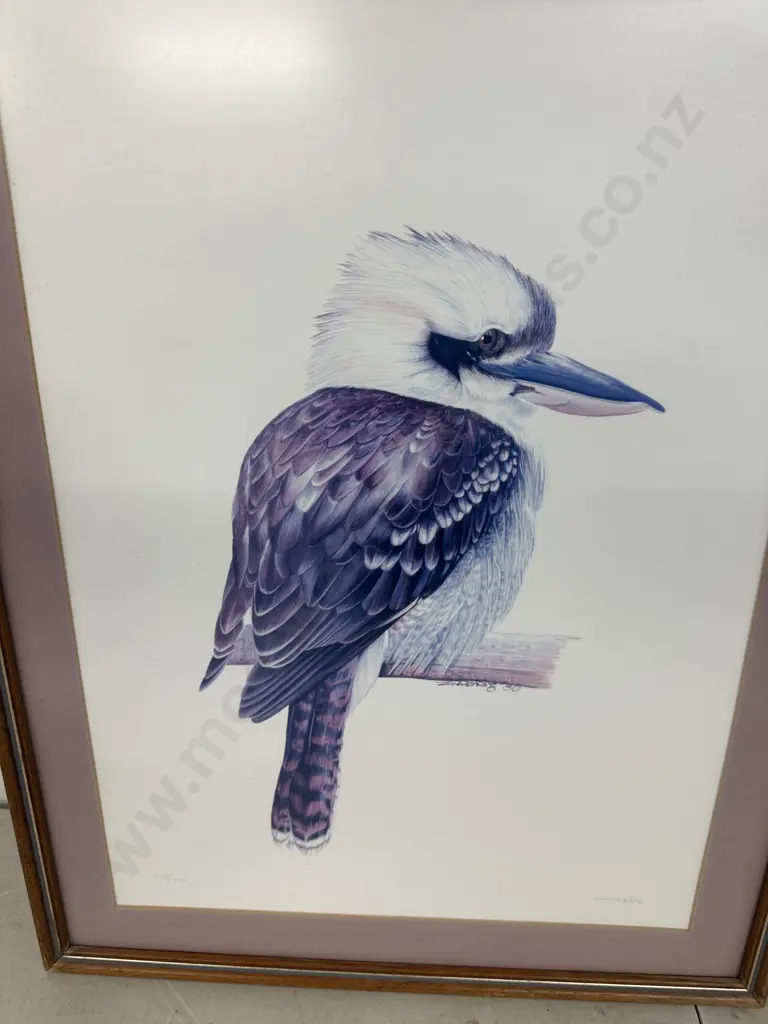 Pair Of Vintage Framed Limited Edition Prints Signed Zuarve'86 Kookaburra 293/700 H58x45cm, Platypus 295/750 H45x58cm. Image 1++