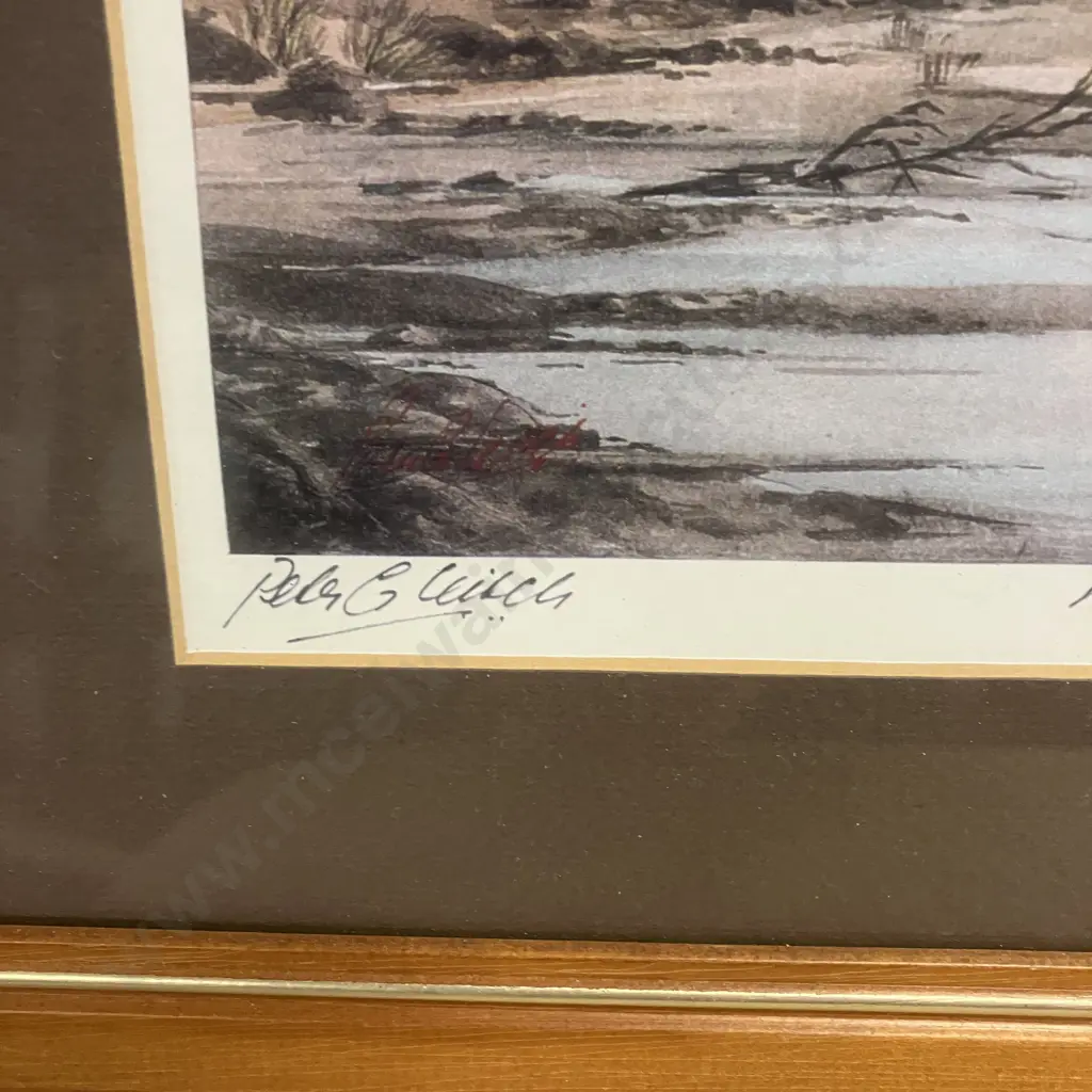 Peter G. Leitch Mt Ruapehu North Island NZ Signed Framed Print. 31 x 39cm Image 1++