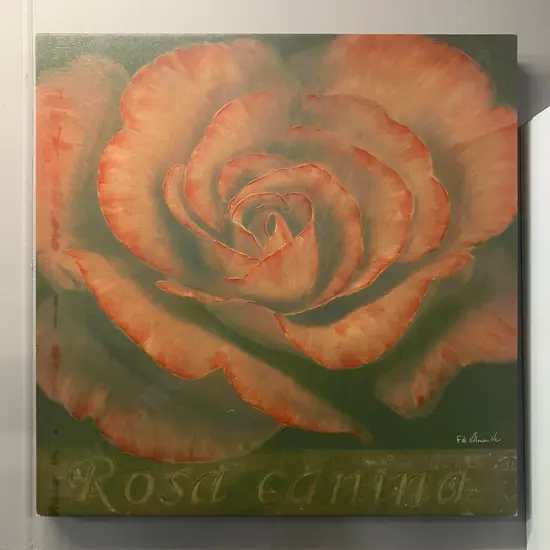 Rosa Canina ll by Fabrice de Villeneuve Fine Art In Giglee, 70 x 70cm Stretched Canvas. 39 / 995 With COA
