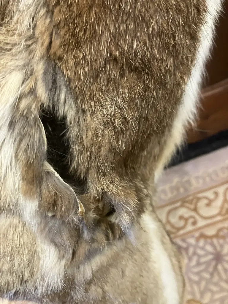 Vintage Small Fur Vest (As Found) Image 1++