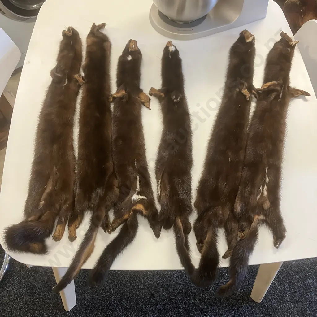 Vintage Fur Stole Shoulder Shrug Wraps - 6 x Full Pelts Image 1++
