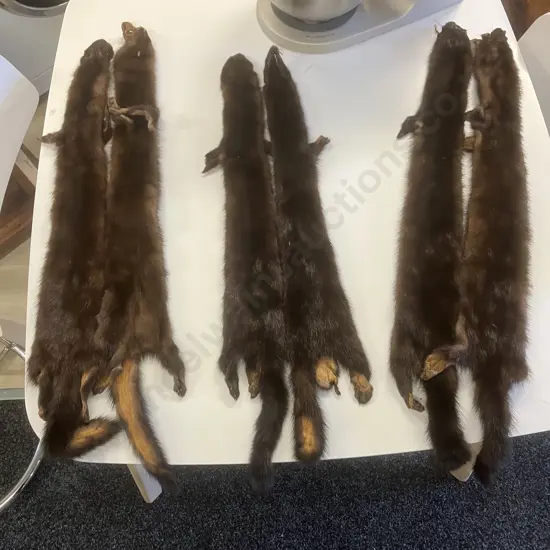 Vintage Fur Stole Shoulder Shrug Wraps - 6 x Full Pelts