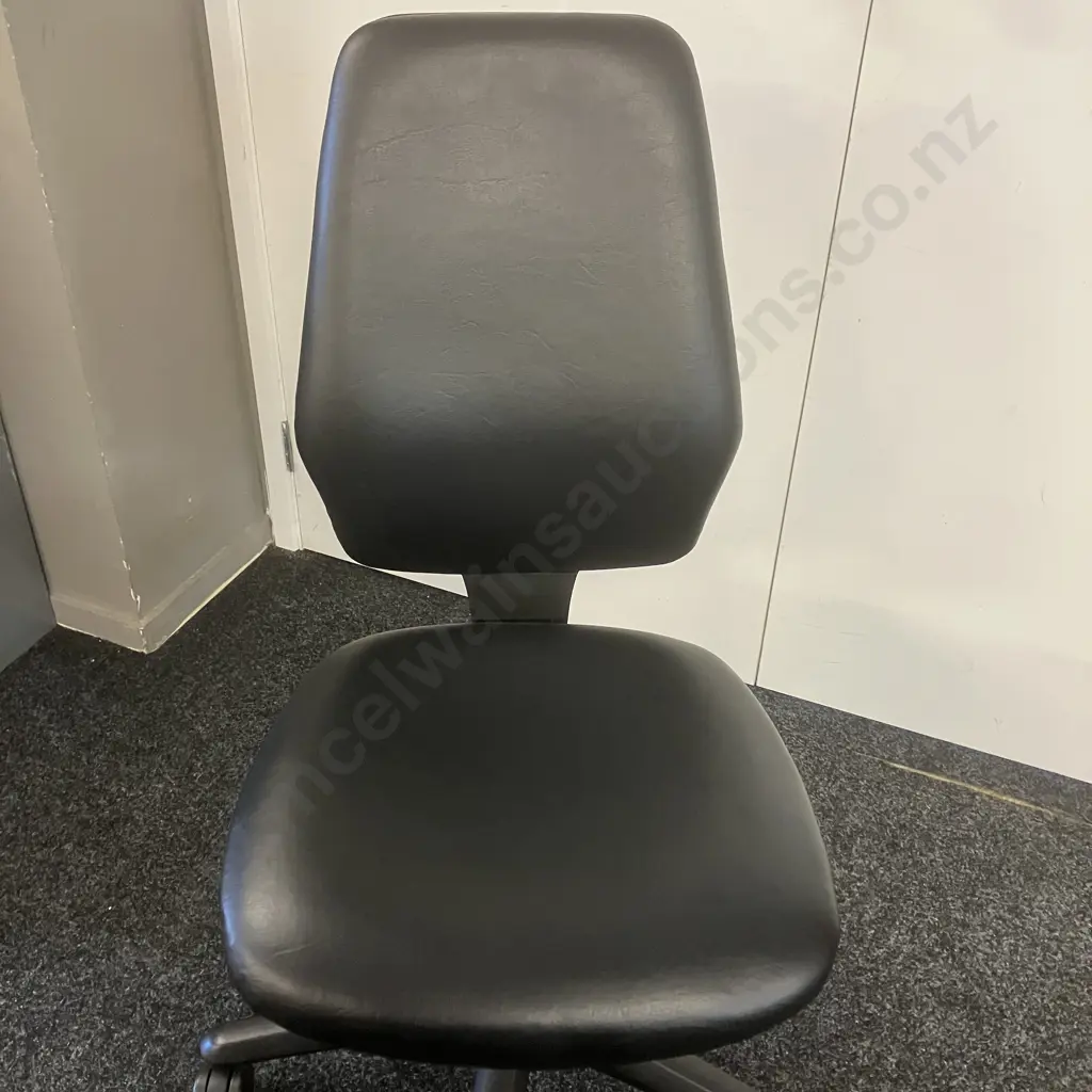 Black Leather High Back Ergonomic Office Chair, 3 Lever Image 1++