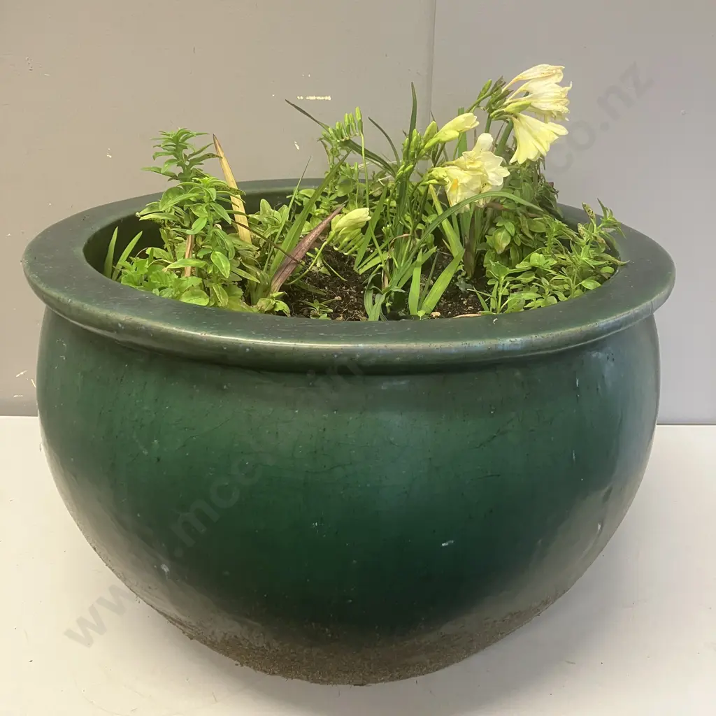 Green Glazed Terracotta Planter With Plants. 32 x 51cm Image 1++