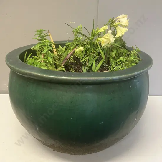 Green Glazed Terracotta Planter With Plants. 32 x 51cm