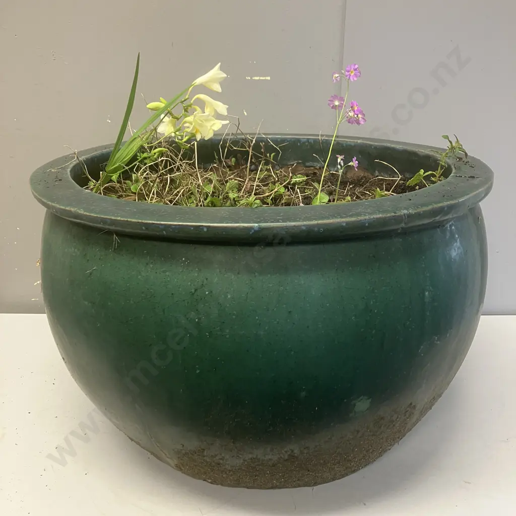 Green Glazed Terracotta Planter With Plants. 32 x 51cm Image 1++