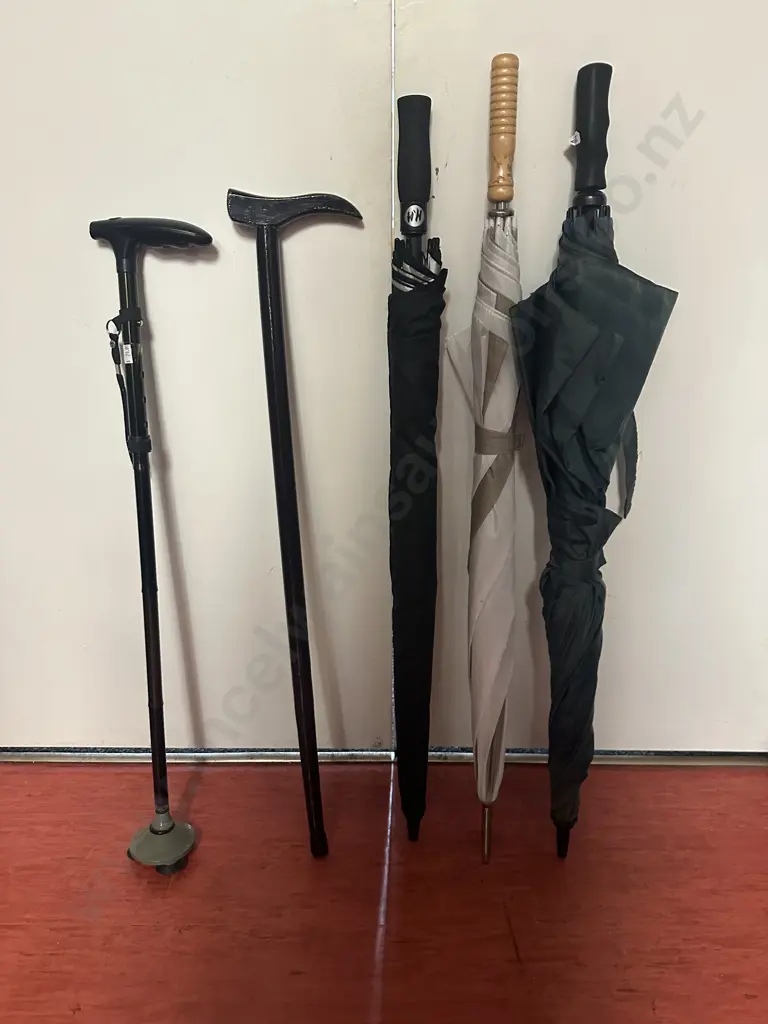 Walking Sticks & Umbrellas Image 1++