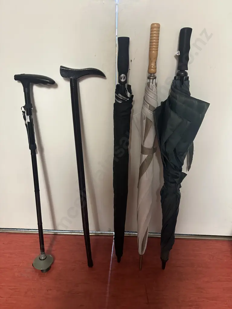 Walking Sticks & Umbrellas Image 1++