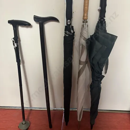 Walking Sticks & Umbrellas