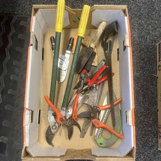 Box Lot Garden Tools