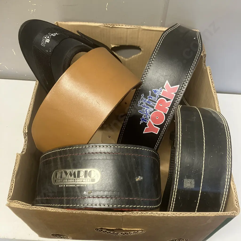 Assorted Weightlifting Belts Image 1++