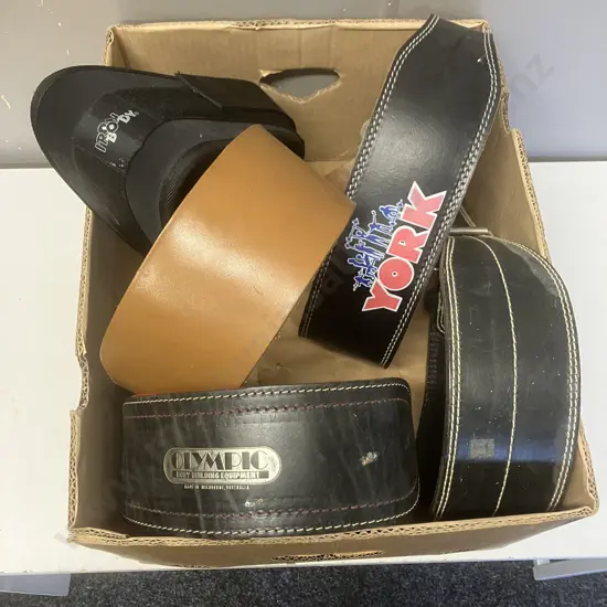 Assorted Weightlifting Belts