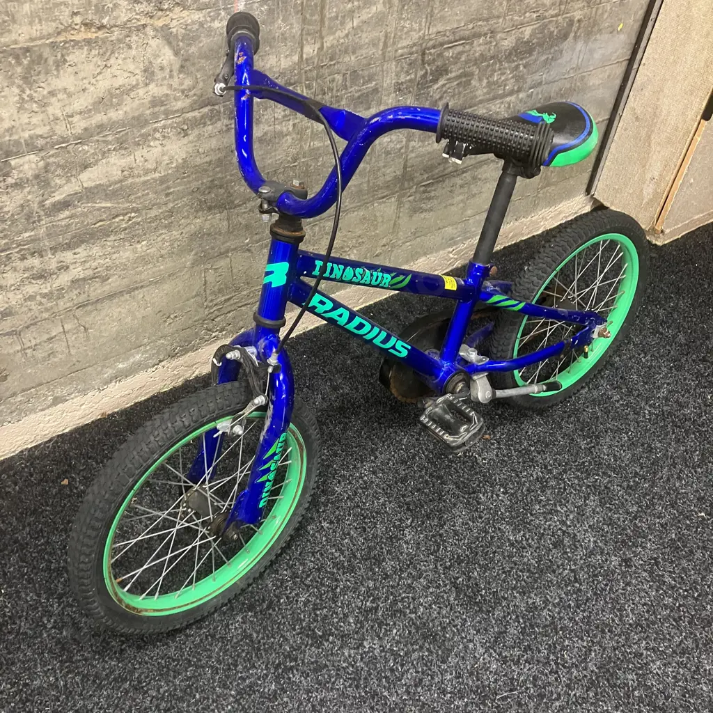 Kids Radius Dinosaur Blue & Green Bike Image 1++