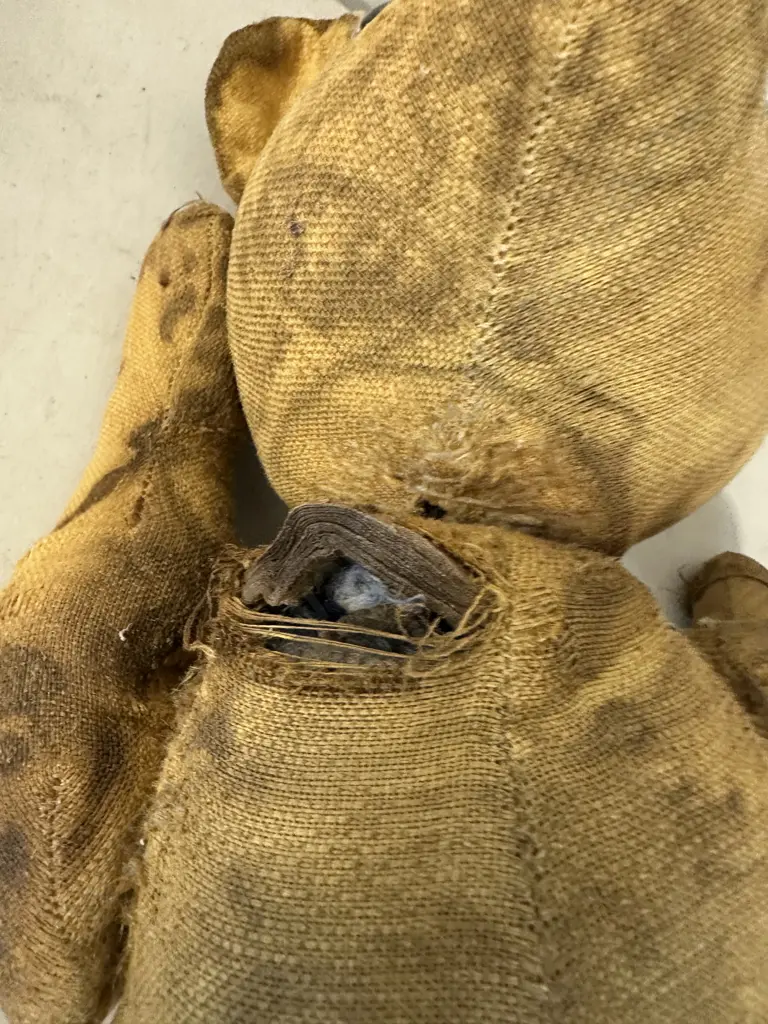 Antique Teddy Bear (as found condition) Image 1++