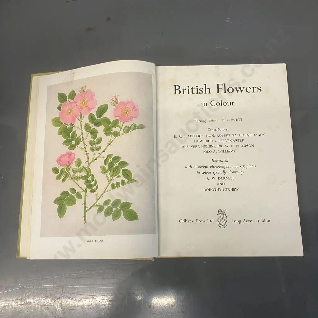 Plants Of New Zealand by Laing and Blackwell, Autographed 1906 First Edition, Hardcover, Whitcombe & Tombs Ltd Image 1++