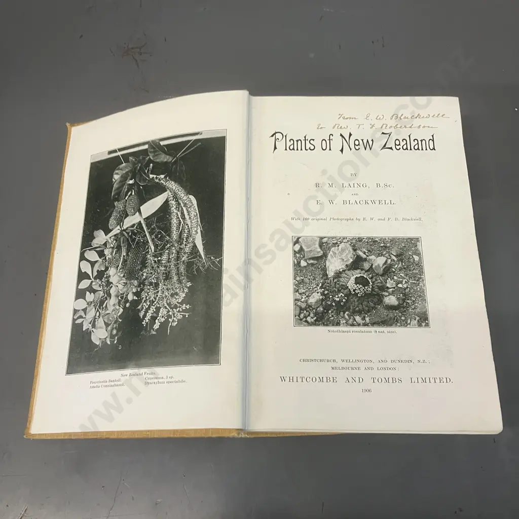 Plants Of New Zealand by Laing and Blackwell, Autographed 1906 First Edition, Hardcover, Whitcombe & Tombs Ltd Image 1++