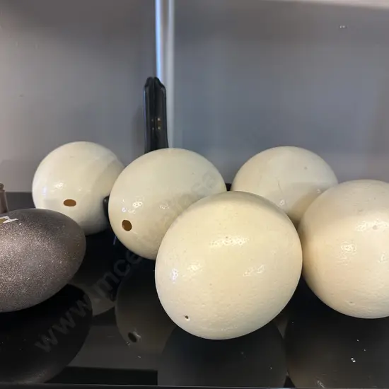 Ostrich Eggs x 5 With an Emu Egg