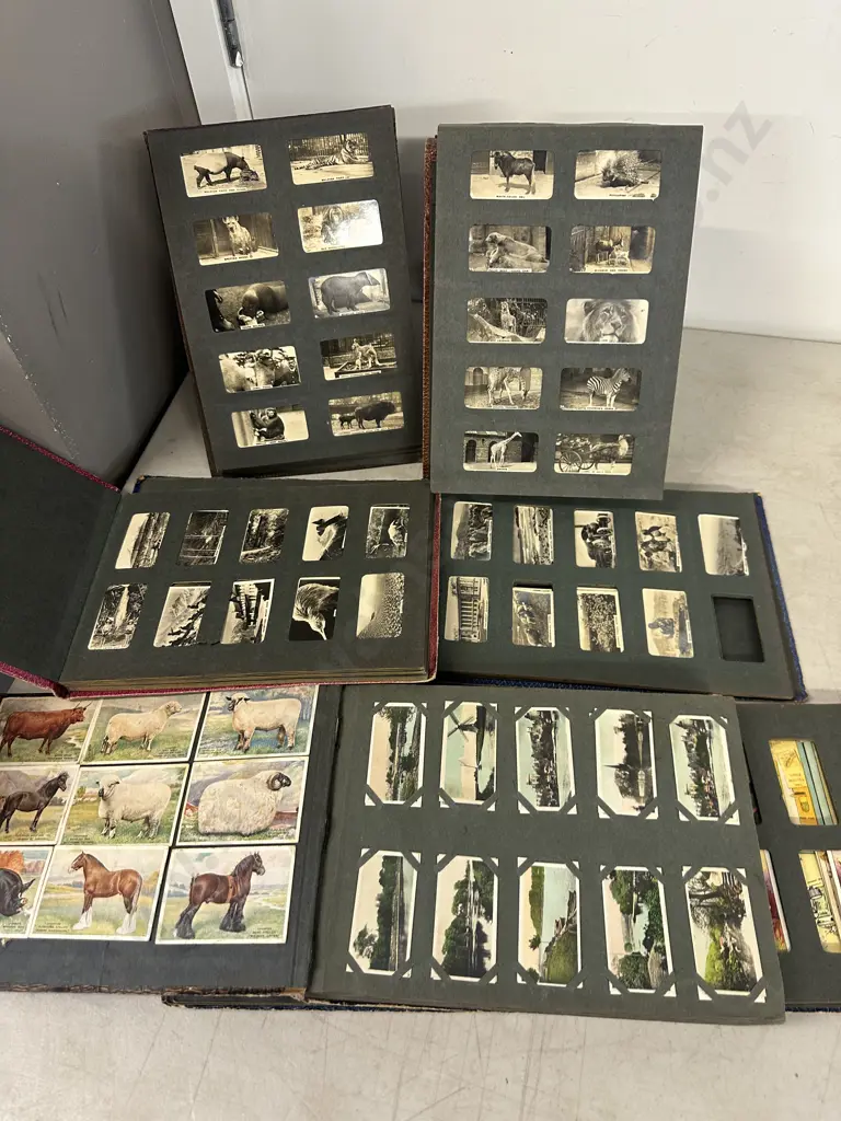 Selection Of 'The Three Castles' Cigarettes Picture Albums Including Animals, Camera Studies Etc Image 1++