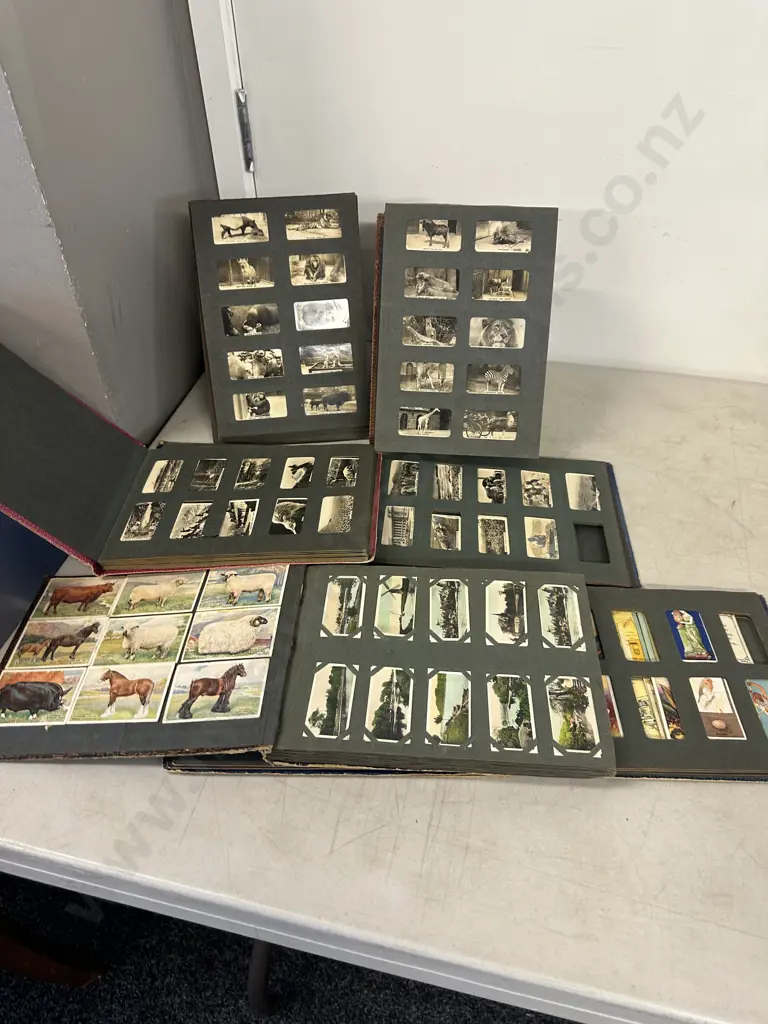 Selection Of 'The Three Castles' Cigarettes Picture Albums Including Animals, Camera Studies Etc Image 1++