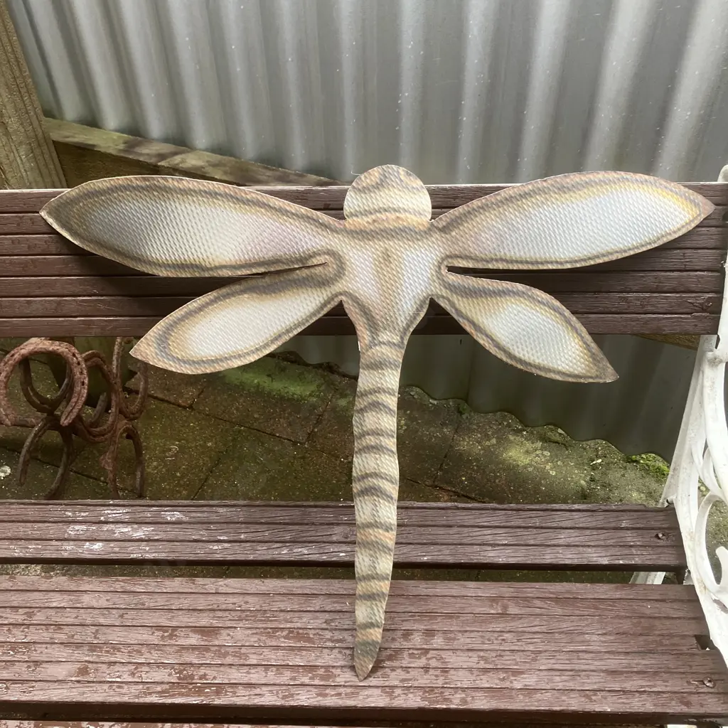 Polished Dragon Fly Wall Art. 46cm Image 1++