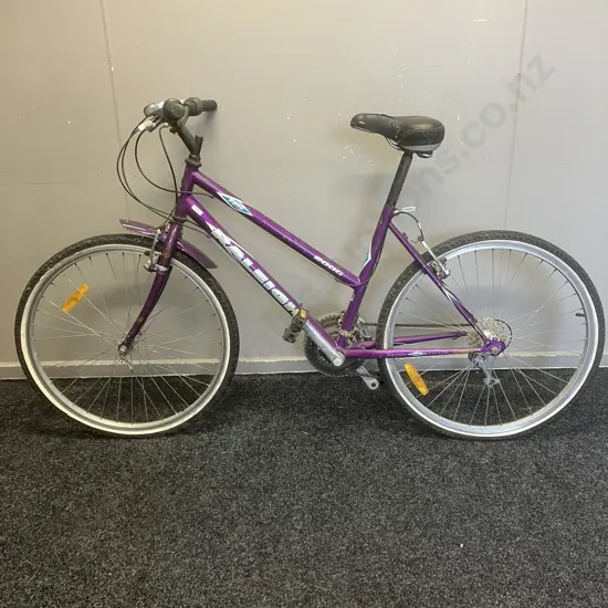 Purple Raleigh Bike