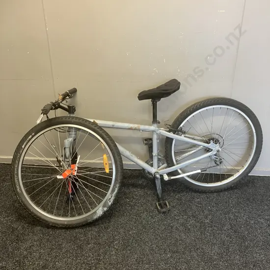 Adult Bike Spray Painted Light Grey (As Found)