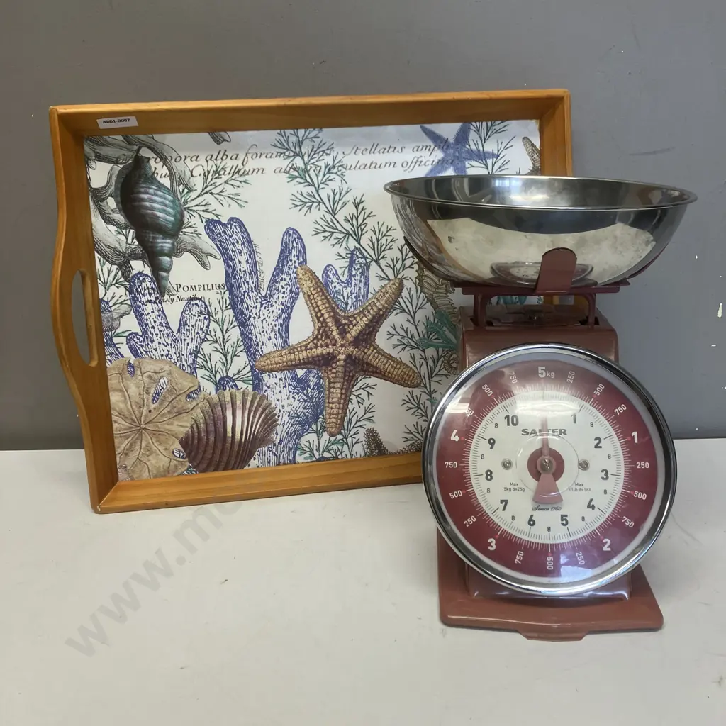 Salter Red Mechanical Kitchen Scale & Tablefair Seascape Padded Serving Tray Image 1++