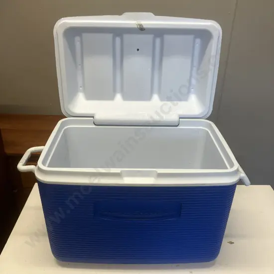 Rubbermaid Chilly Bin