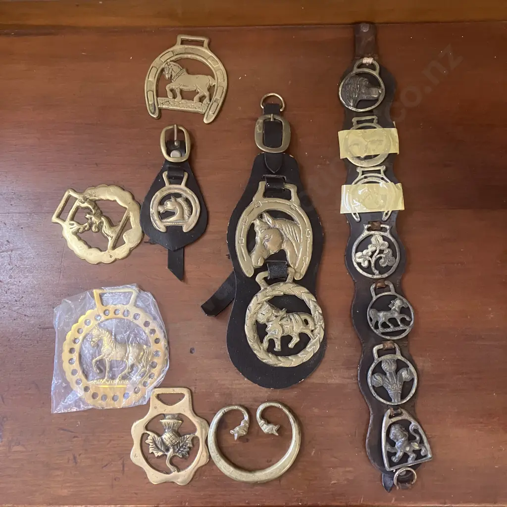 Horse Brasses & Brasses On Leather Image 1++