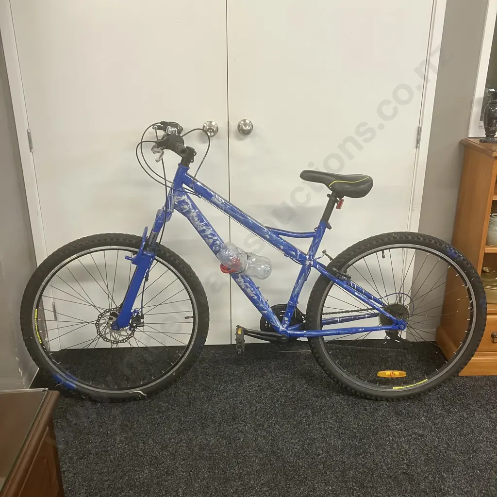 Blue Sprayed Bicycle Image 1++