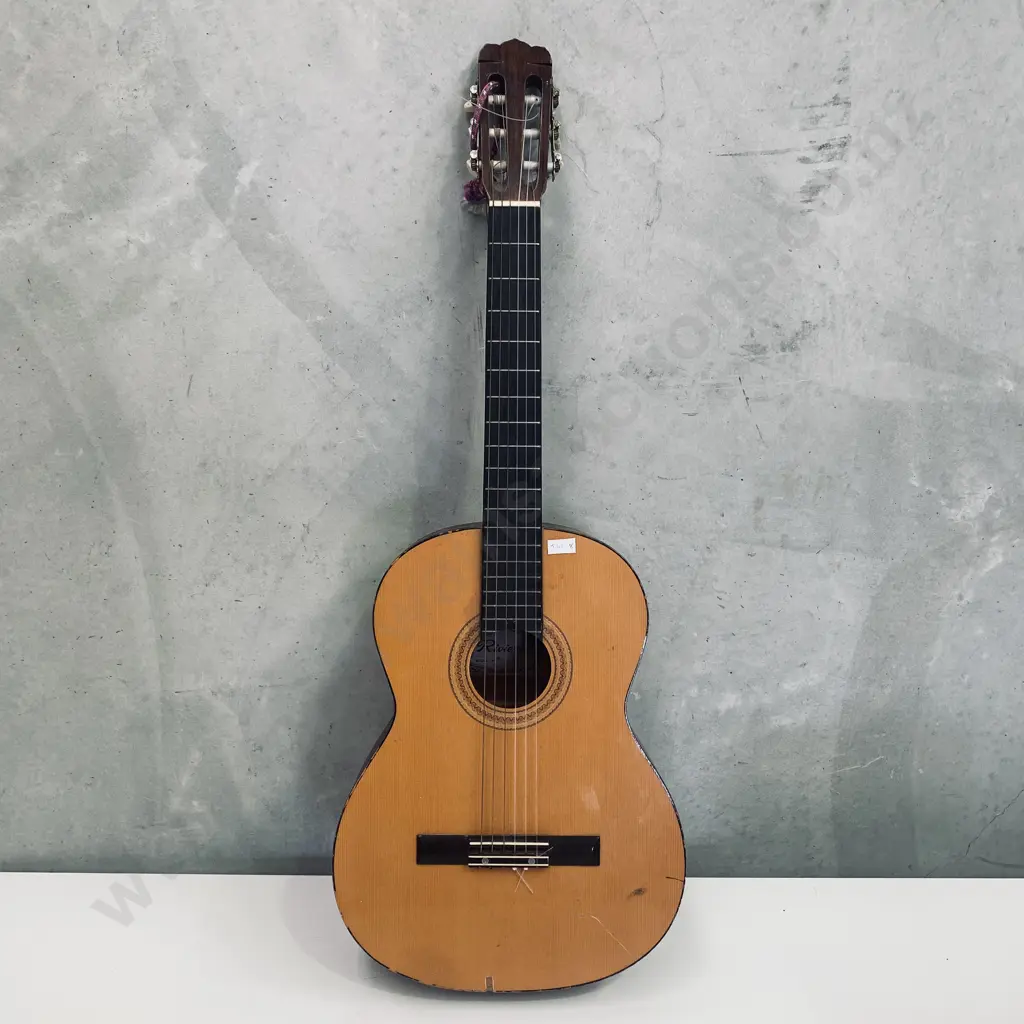 Riveria Brand Acoustic Guitar Image 1++