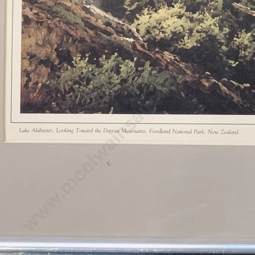 3 Jonathan White Framed and Glazed Prints - "Footsteps in the Wilderness 1988" Image 1++