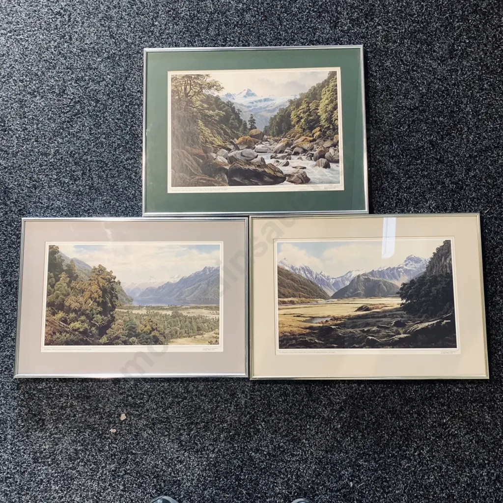 3 Jonathan White Framed and Glazed Prints - "Footsteps in the Wilderness 1988" Image 1++